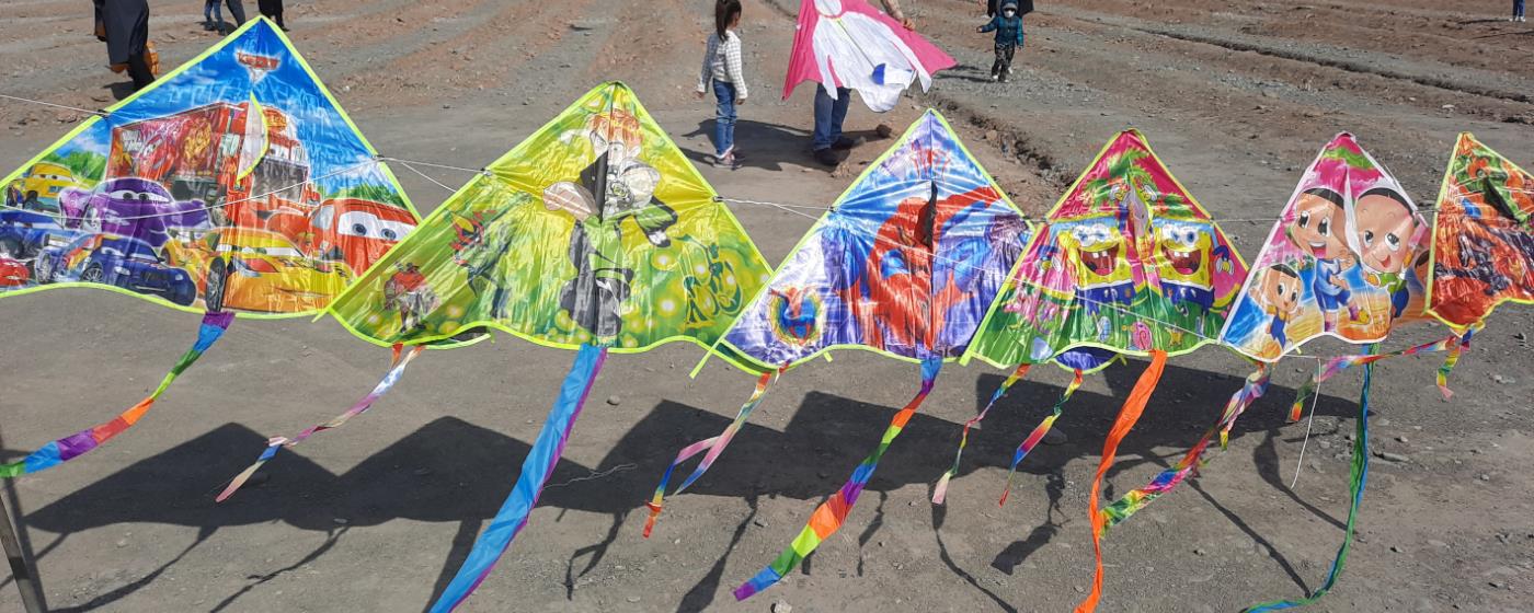 Colorful kites lined up on ground with people and clear sky in background.