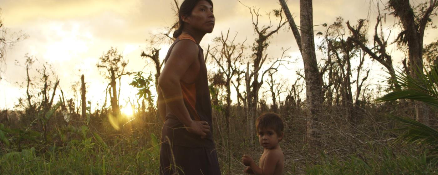 Man and child stand amidst trees at sunset.