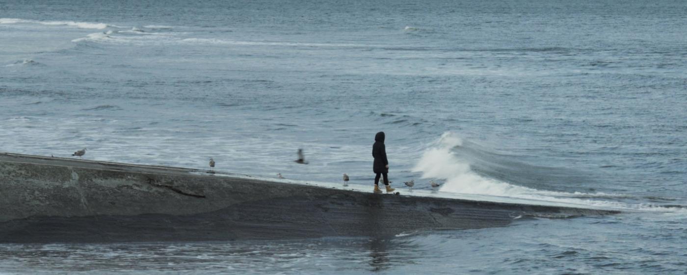 Person standing by the sea in winter clothing with waves and birds.
