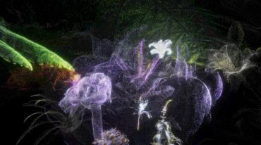 Digitálně vytvořen obraz abstraktních květin a linii světla s kouřovým efektem na tmavém pozadí.
