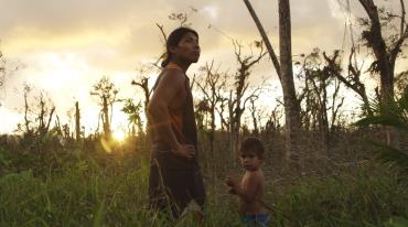 Man and child stand amidst trees at sunset.