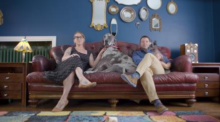 A woman and a man are sitting on a large leather couch in the living room, a large dog is sitting between them, the man is holding another smaller dog in his arms.